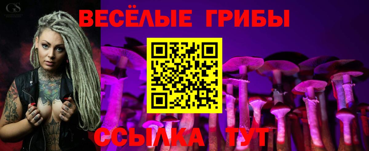 Галлюциногенные грибы Psilocybe  Вход с VPN  Кохма 