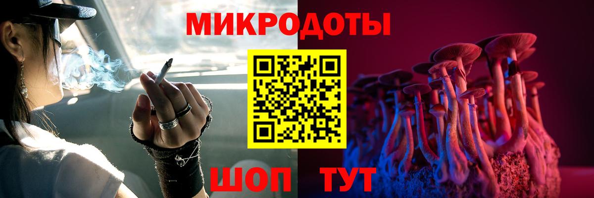 Галлюциногенные грибы Psilocybe Кохма